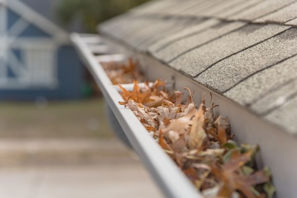 Leaf Barrier Installation in Ball Ground